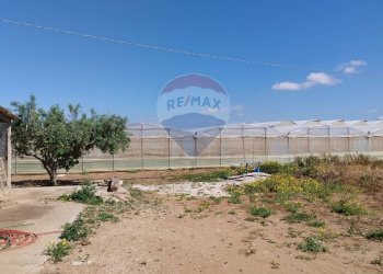 Giardino - Terreno agricolo Vittoria - foto 7