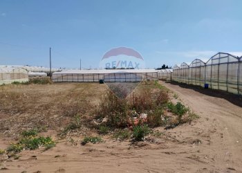 Giardino - Terreno agricolo Vittoria - foto 8