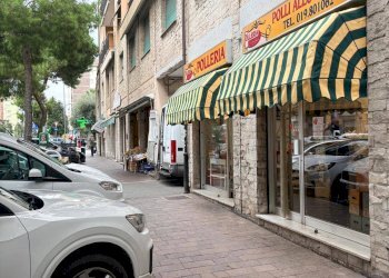 Foto 3 - Attività Commerciale Corso Tardy e Benech, Savona - foto 3