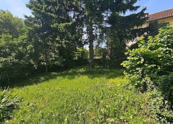 Giardino - Villa via Podio, Pino Torinese - foto 15