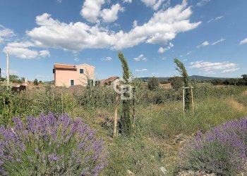 Foto 36 - Villa Strada Castel D'Asso, Viterbo - foto 36