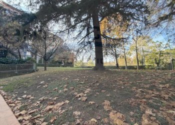 Terreno - Quadrilocale San Lazzaro di Savena - foto 37