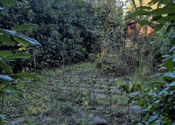 Three-room apartment Piglio - photo 19