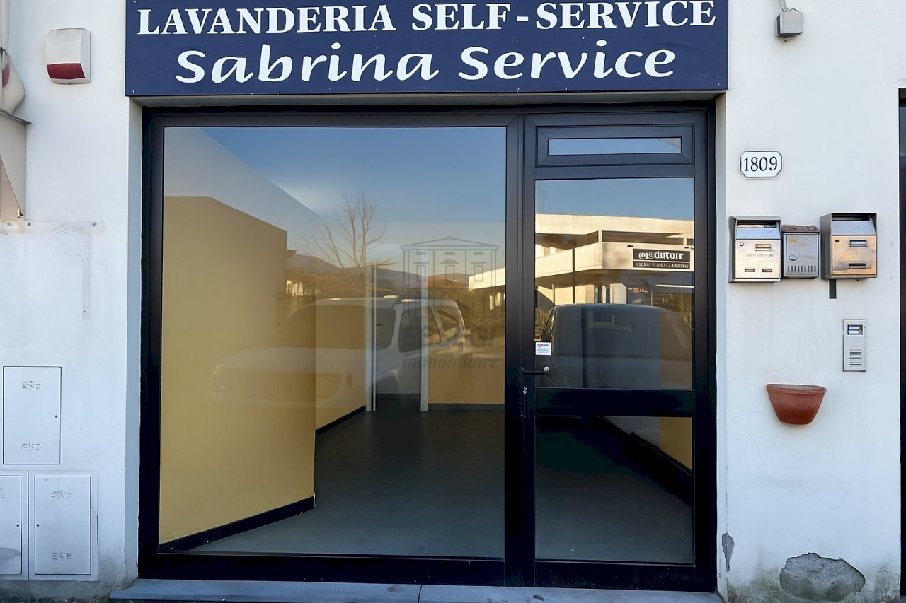 fondo artigianle affittasi Lucca in zona di forte - Locale Commerciale Viale giacomo puccini 1813, Lucca - foto 3