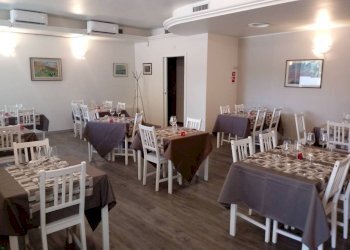 m.jpg - Pizzeria Viale Giosuè Carducci, Lucca - foto 11