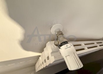 IMG_7589.jpeg - Casa indipendente Via Bruno Buozzi RO, Rovigo - foto 23