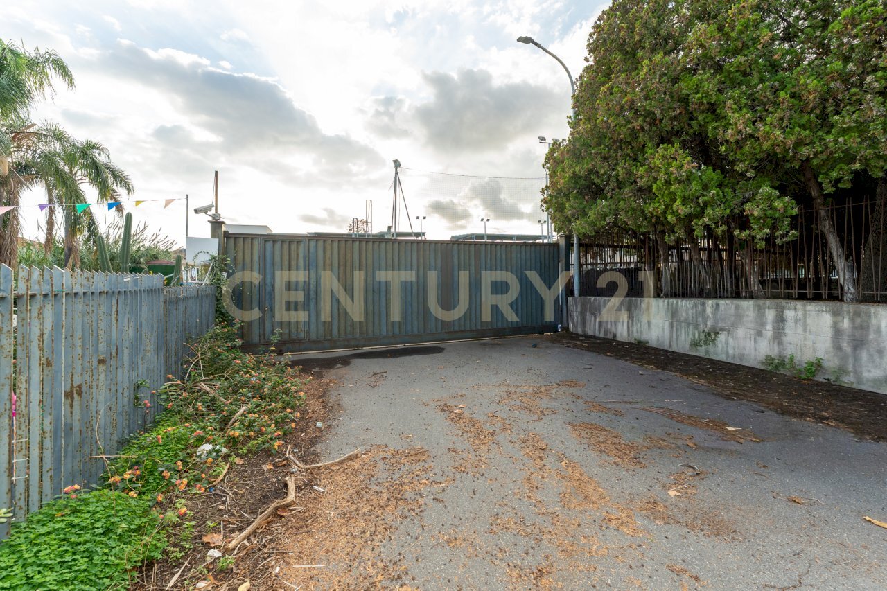 Piazza delle Scuole (1).jpg - Show room Via delle Scuole 1, Aci Castello - foto 2