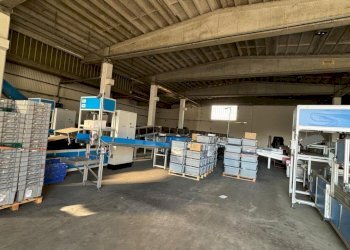 WhatsApp Image 2024-09-19 at 16.13.57.jpeg - Commercial Premises Via Giosuè Carducci 17, San Pietro Mosezzo - photo 8