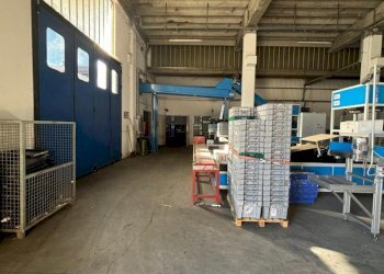 WhatsApp Image 2024-09-19 at 16.13.58.jpeg - Commercial Premises Via Giosuè Carducci 17, San Pietro Mosezzo - photo 9