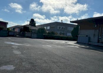 WhatsApp Image 2024-09-19 at 16.13.56.jpeg - Commercial Premises Via Giosuè Carducci 17, San Pietro Mosezzo - photo 16