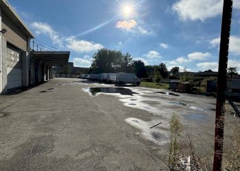 WhatsApp Image 2024-09-19 at 16.13.59 (1).jpeg - Commercial Premises Via Giosuè Carducci 17, San Pietro Mosezzo - photo 17