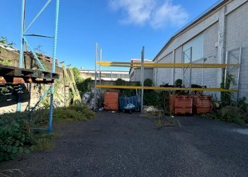 WhatsApp Image 2024-09-19 at 16.13.43.jpeg - Commercial Premises Via Giosuè Carducci 17, San Pietro Mosezzo - photo 18