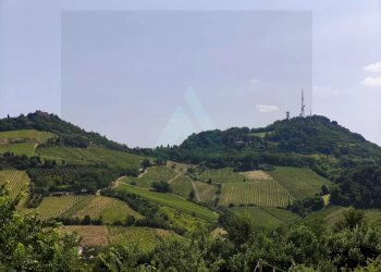 Villa Via Tombetta, Bertinoro - foto 16