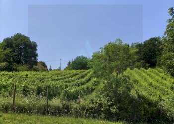 Villa Via Tombetta, Bertinoro - foto 60