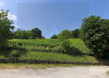 Villa Via Tombetta, Bertinoro - foto 61