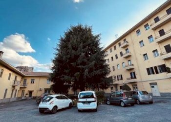 Three-room apartment Pinerolo - photo 1