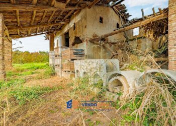 Rustic Tarantasca - photo 5