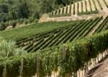 Agricultural land Canelli - photo 1