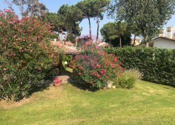 Villa Rosolina, RO, Rosolina - foto 16