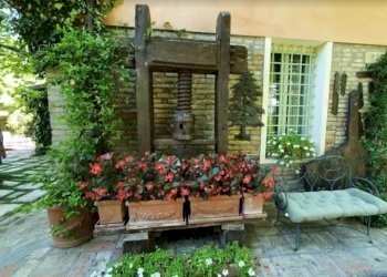 Casa indipendente Ravenna (zona Madonna dell'Albero) - foto 4