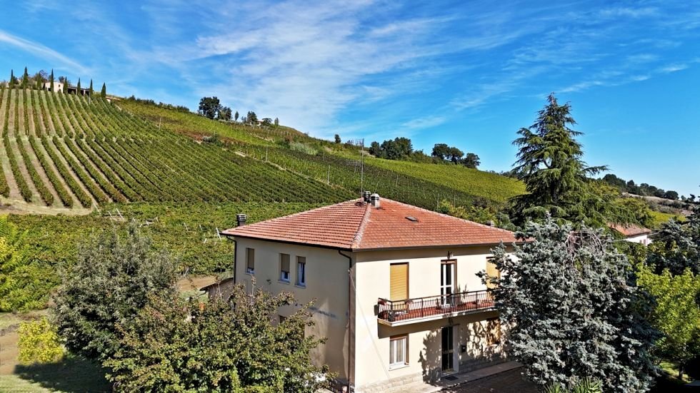 Villa Imola - foto 2