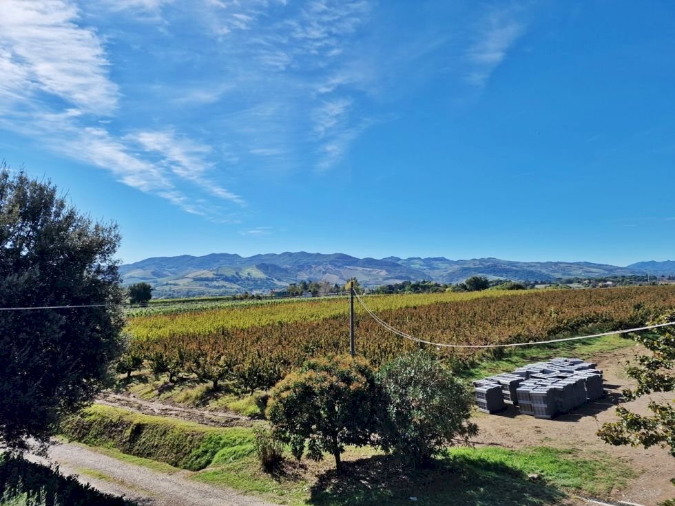 Villa Imola - foto 3