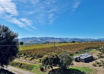 Villa Imola - foto 3