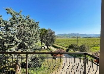 Villa Imola - foto 14