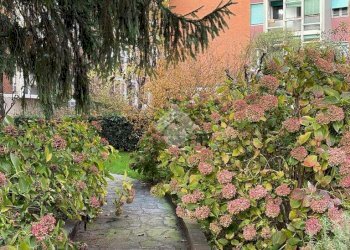 Two-room apartment Via Delle Ande, Milano (neighborhood Gallaratese) - photo 4