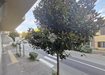 Trilocale Viale dei Partigiani, Asti - foto 21