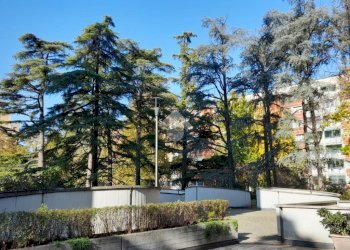 Appartamento Via Misa, Bologna (zona Mazzini) - foto 3