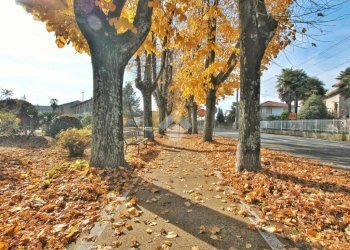 Villa Via Monsignor Montiglio Carlo, Livorno Ferraris - foto 43