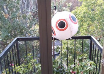 Trilocale Modena - foto 5