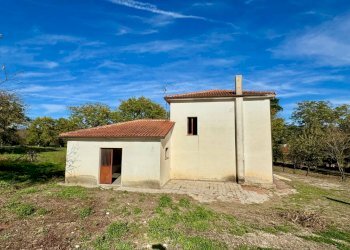 Foto 4 - Casa indipendente CONTRADA TORANO
 
16, Fontanarosa - foto 4