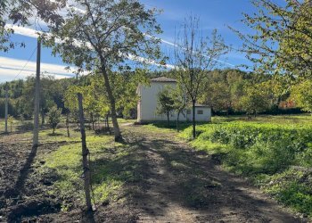 Foto 7 - Casa indipendente CONTRADA TORANO
 
16, Fontanarosa - foto 7