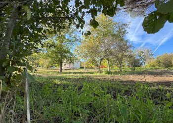 Foto 9 - Casa indipendente CONTRADA TORANO
 
16, Fontanarosa - foto 9