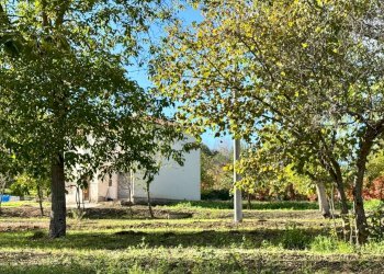 Foto 10 - Casa indipendente CONTRADA TORANO
 
16, Fontanarosa - foto 10