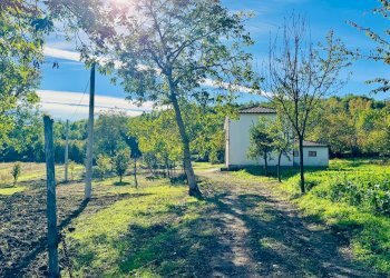 Foto 11 - Casa indipendente CONTRADA TORANO
 
16, Fontanarosa - foto 11