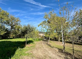 Foto 12 - Casa indipendente CONTRADA TORANO
 
16, Fontanarosa - foto 12