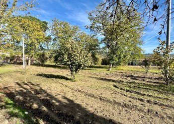 Foto 13 - Casa indipendente CONTRADA TORANO
 
16, Fontanarosa - foto 13