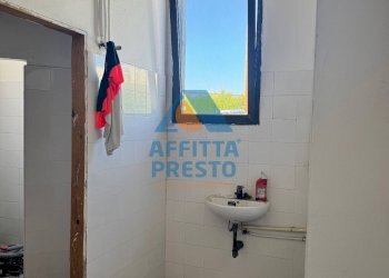 Foto 5 - Shed Santa Croce sull'Arno - photo 5