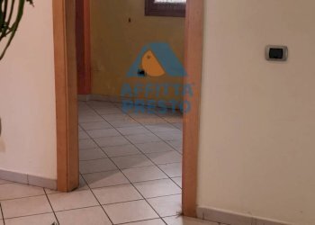 Foto 5 - Commercial Activity Vinci - photo 5