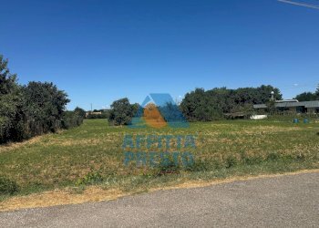 Foto 1 - Terreno agricolo Empoli - foto 1