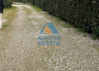 Foto 13 - Bilocale Montelupo Fiorentino - foto 13