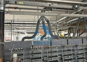 Foto 12 - Laboratorio Capraia e Limite - foto 12