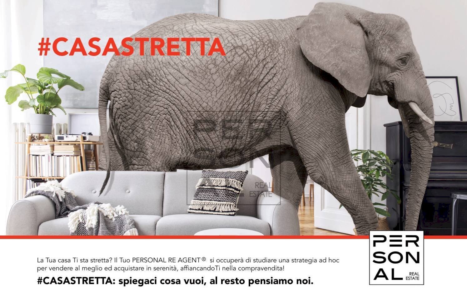 Foto 2 - Bar Tavola Calda - Fredda Pinzolo - foto 2