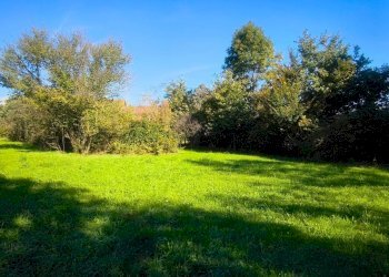 Foto 2 - Terreno edificabile Via Tabbia
 
s.n.c., Camburzano - foto 2