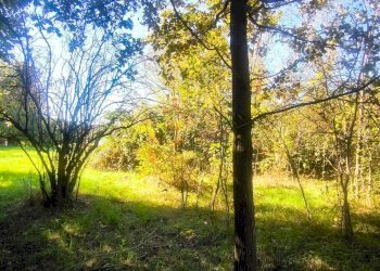 Foto 6 - Terreno edificabile Via Tabbia
 
s.n.c., Camburzano - foto 6