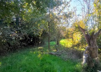 Foto 7 - Terreno edificabile Via Tabbia
 
s.n.c., Camburzano - foto 7