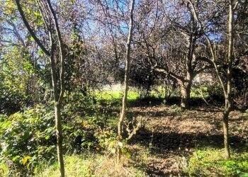 Foto 8 - Terreno edificabile Via Tabbia
 
s.n.c., Camburzano - foto 8